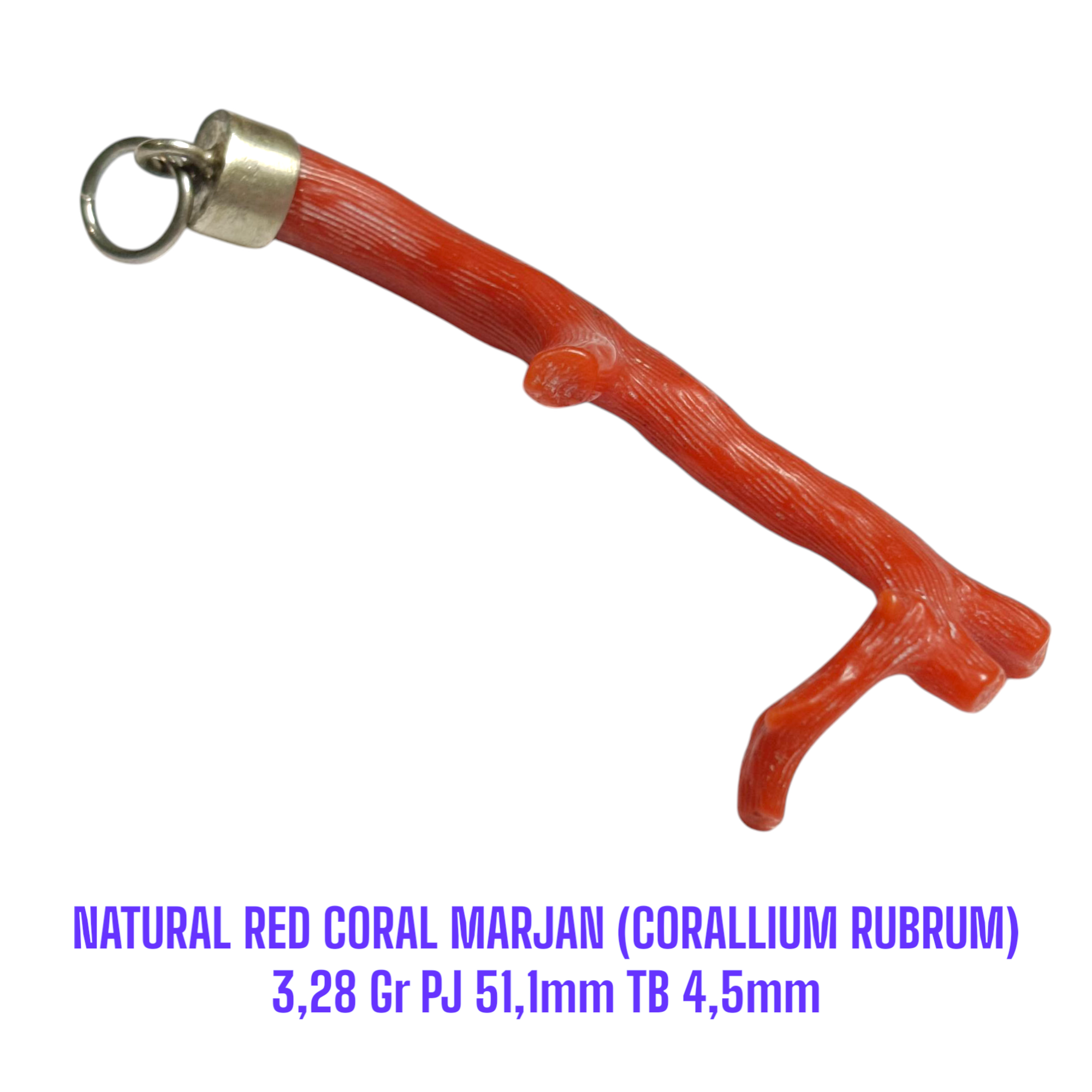 LIONTIN PERAK RANTING NATURAL RED CORAL MARJAN (CORALLIUM RUBRUM) 3,28 Gr PJ 51,1mm TB 4,5mm - Gambar 2