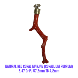 LIONTIN PERAK RANTING NATURAL RED CORAL MARJAN (CORALLIUM RUBRUM) 3,47 Gr PJ 57,3mm TB 4,2mm