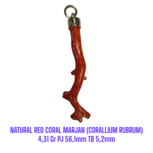 LIONTIN PERAK RANTING NATURAL RED CORAL MARJAN (CORALLIUM RUBRUM) 4,31 Gr PJ 56,1mm TB 5,2mm