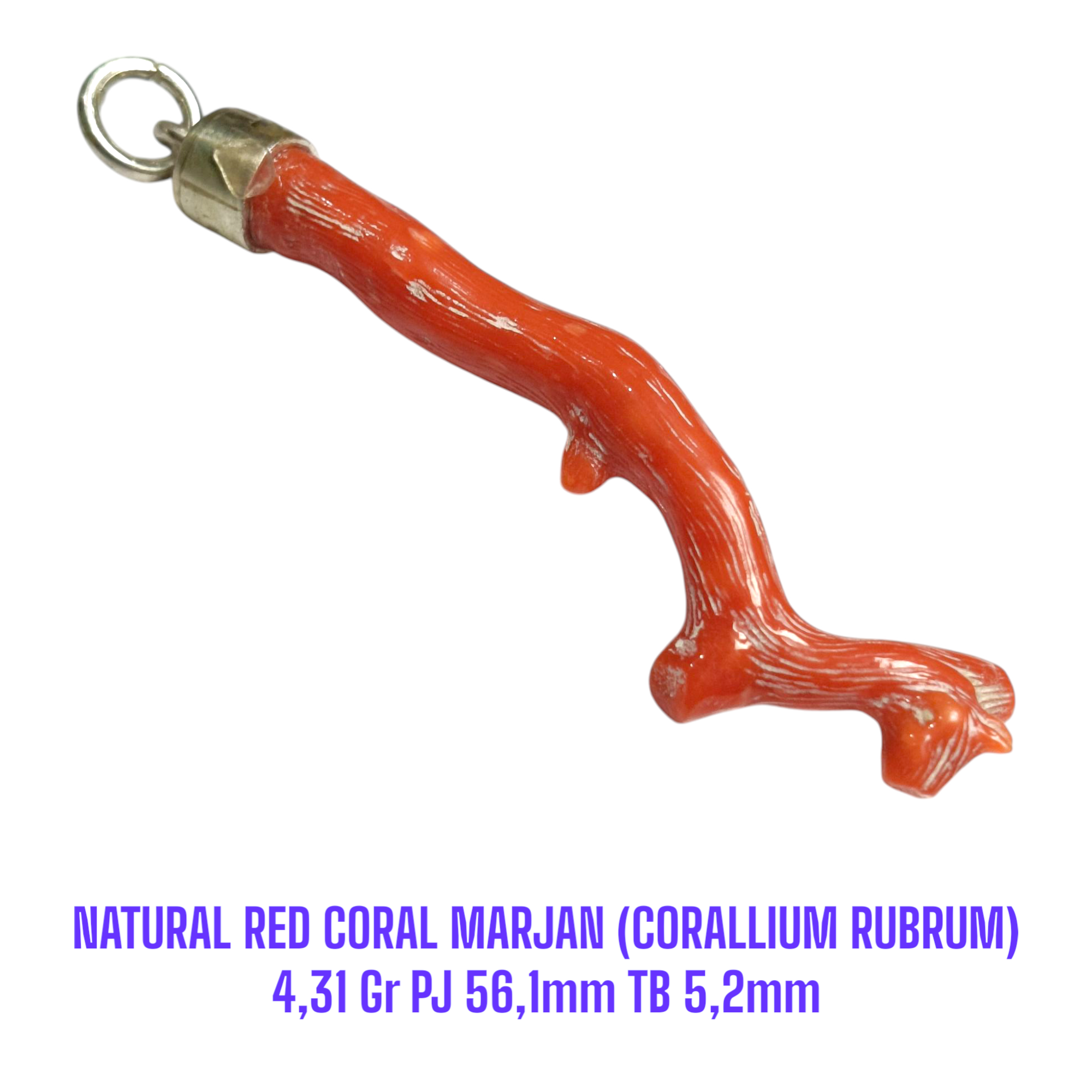 LIONTIN PERAK RANTING NATURAL RED CORAL MARJAN (CORALLIUM RUBRUM) 4,31 Gr PJ 56,1mm TB 5,2mm - Gambar 2
