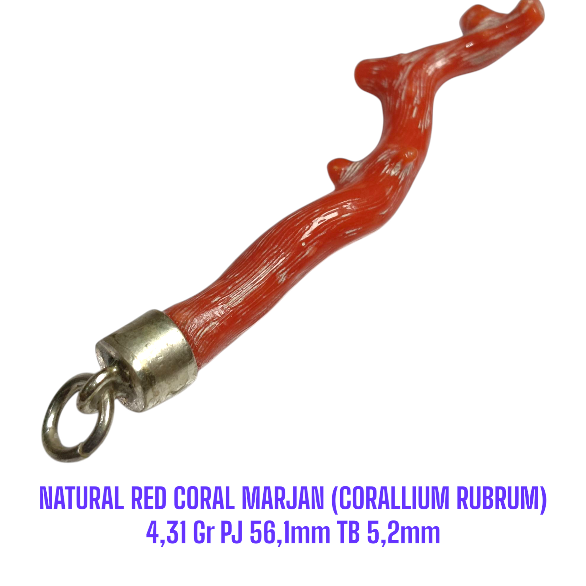 LIONTIN PERAK RANTING NATURAL RED CORAL MARJAN (CORALLIUM RUBRUM) 4,31 Gr PJ 56,1mm TB 5,2mm - Gambar 3