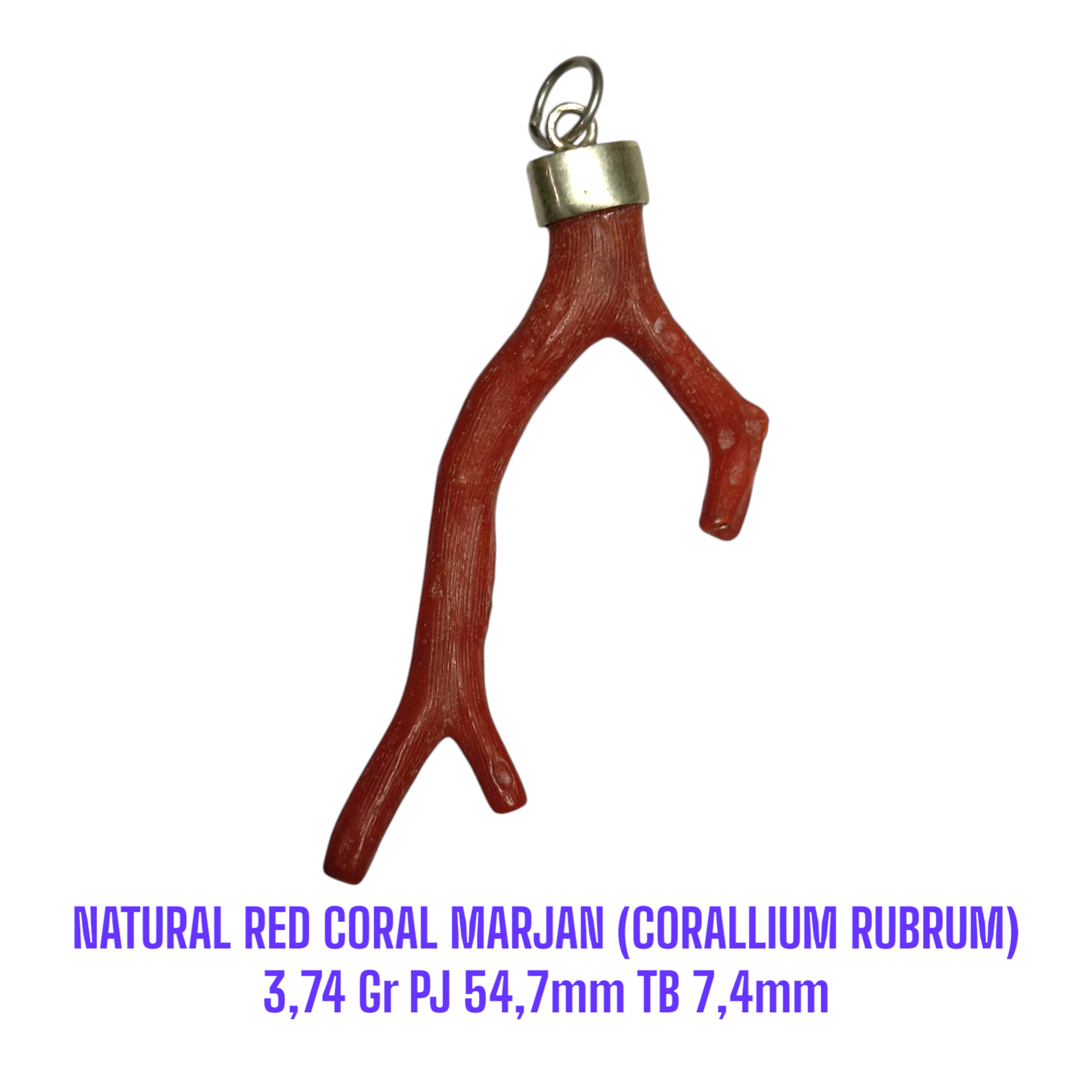 LIONTIN PERAK RANTING NATURAL RED CORAL MARJAN (CORALLIUM RUBRUM) 3,74 Gr PJ 54,7mm TB 7,4mm