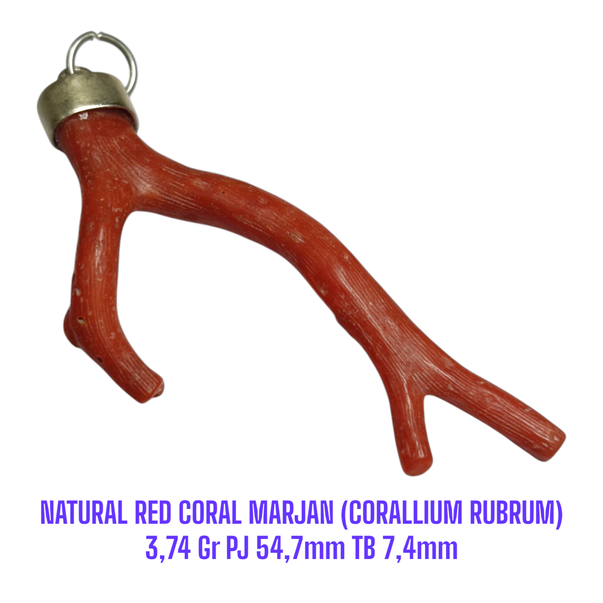 LIONTIN PERAK RANTING NATURAL RED CORAL MARJAN (CORALLIUM RUBRUM) 3,74 Gr PJ 54,7mm TB 7,4mm - Gambar 2