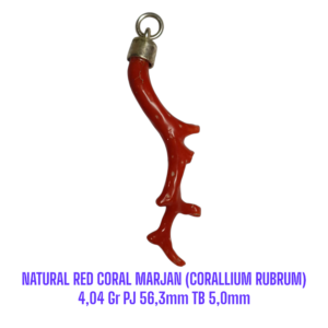 LIONTIN PERAK RANTING NATURAL RED CORAL MARJAN (CORALLIUM RUBRUM) 4,04 Gr PJ 56,3mm TB 5,0mm