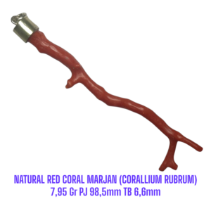 LIONTIN PERAK RANTING NATURAL RED CORAL MARJAN (CORALLIUM RUBRUM) 7,95 Gr PJ 98,5mm TB 6,6mm