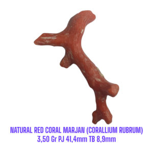 RANTING NATURAL RED CORAL MARJAN (CORALLIUM RUBRUM) 3,50 Gr PJ 41,4mm TB 8,9mm