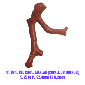 RANTING NATURAL RED CORAL MARJAN (CORALLIUM RUBRUM) 5,35 Gr PJ 52,4mm TB 8,2mm