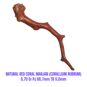 RANTING NATURAL RED CORAL MARJAN (CORALLIUM RUBRUM) 6,70 Gr PJ 88,7mm TB 11,0mm