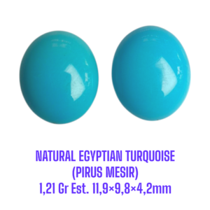 LOOSESTONE NATURAL EGYPTIAN TURQUOISE (PIRUS MESIR) 1,21 Gr Est. 11,9×9,8×4,2mm