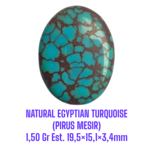 LOOSESTONE NATURAL EGYPTIAN TURQUOISE (PIRUS MESIR) 1,50 Gr Est. 19,5×15,1×3,4mm