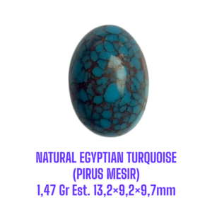 LOOSESTONE NATURAL EGYPTIAN TURQUOISE (PIRUS MESIR) 1,47 Gr Est. 13,2×9,2×9,7mm