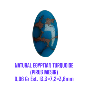 LOOSESTONE NATURAL EGYPTIAN TURQUOISE (PIRUS MESIR) 0,66 Gr Est. 13,3×7,2×3,8mm