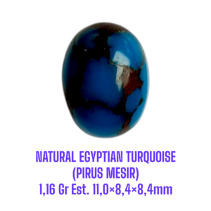 LOOSESTONE NATURAL EGYPTIAN TURQUOISE (PIRUS MESIR) 1,16 Gr Est. 11,0×8,4×8,4mm