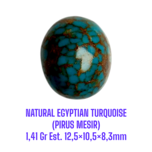 LOOSESTONE NATURAL EGYPTIAN TURQUOISE (PIRUS MESIR) 1,41 Gr Est. 12,5×10,5×8,3mm