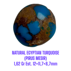LOOSESTONE NATURAL EGYPTIAN TURQUOISE (PIRUS MESIR) 1,62 Gr Est. 12×11,7×8,7mm