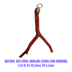 LIONTIN PERAK RANTING NATURAL RED CORAL MARJAN (CORALLIUM RUBRUM) 3,51 Gr PJ 59,2mm TB 5,1mm
