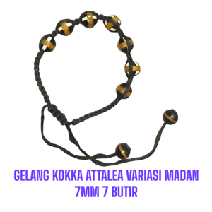GELANG KOKKA ATTALEA VARIASI MADAN 7MM 7 BUTIR