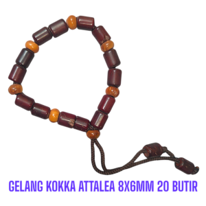 GELANG KOKKA ATTALEA 8X6MM 20 BUTIR