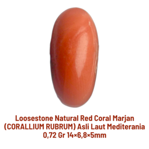 LOOSESTONE NATURAL RED CORAL MARJAN (CORALLIUM RUBRUM) 0,72 gr 14×6,8×5mm