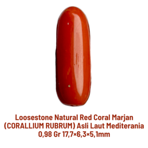 LOOSESTONE NATURAL RED CORAL MARJAN (CORALLIUM RUBRUM) 0,98 gr 17,7×6,3×5,1mm