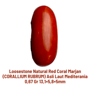 LOOSESTONE NATURAL RED CORAL MARJAN (CORALLIUM RUBRUM) 0,67 gr 13,1×5,8×5mm