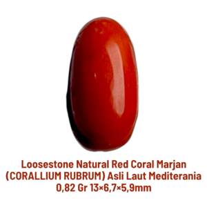 LOOSESTONE NATURAL RED CORAL MARJAN (CORALLIUM RUBRUM) 0,82 gr 13×6,7×5,9mm