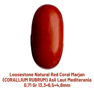 LOOSESTONE NATURAL RED CORAL MARJAN (CORALLIUM RUBRUM) 0,71 gr 13,3×6,5×4,8mm
