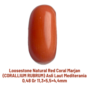 LOOSESTONE NATURAL RED CORAL MARJAN (CORALLIUM RUBRUM) 0,48 gr 11,3×5,5×4,4mm