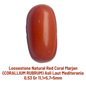 LOOSESTONE NATURAL RED CORAL MARJAN (CORALLIUM RUBRUM) 0,53 gr 11,1×5,7×5mm