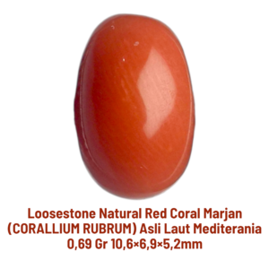 LOOSESTONE NATURAL RED CORAL MARJAN (CORALLIUM RUBRUM) 0,69 gr 10,6×6,9×5,2mm