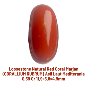 LOOSESTONE NATURAL RED CORAL MARJAN (CORALLIUM RUBRUM) 0,59 gr 11,9×5,8×4,9mm
