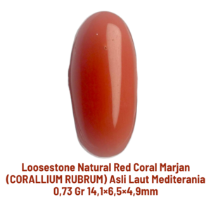 LOOSESTONE NATURAL RED CORAL MARJAN (CORALLIUM RUBRUM) 0,73 gr 14,1×6,5×4,9mm