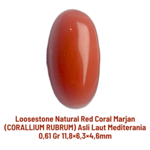 LOOSESTONE NATURAL RED CORAL MARJAN (CORALLIUM RUBRUM) 0,61 gr 11,8×6,3×4,6mm