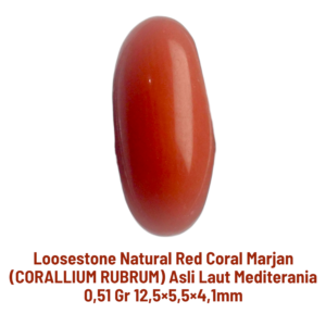 LOOSESTONE NATURAL RED CORAL MARJAN (CORALLIUM RUBRUM) 0,51 gr 12,5×5,5×4,1mm