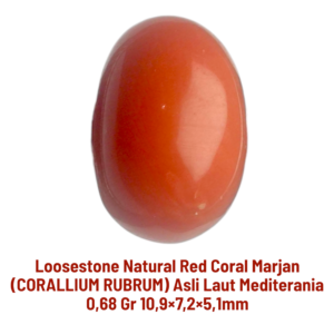 LOOSESTONE NATURAL RED CORAL MARJAN (CORALLIUM RUBRUM) 0,68 gr 10,9×7,2×5,1mm