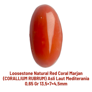 LOOSESTONE NATURAL RED CORAL MARJAN (CORALLIUM RUBRUM) 0,65 gr 13,5×7×4,5mm