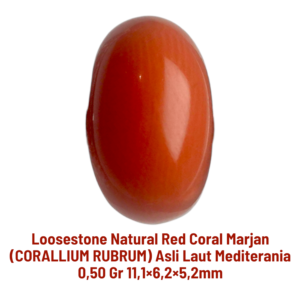 LOOSESTONE NATURAL RED CORAL MARJAN (CORALLIUM RUBRUM) 0,50 gr 11,1×6,2×5,2mm