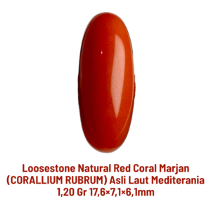 LOOSESTONE NATURAL RED CORAL MARJAN (CORALLIUM RUBRUM) 1,20 gr 17,6×7,1×6,1mm