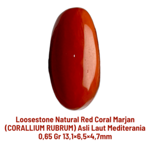 LOOSESTONE NATURAL RED CORAL MARJAN (CORALLIUM RUBRUM) 0,65 gr 13,1×6,5×4,7mm