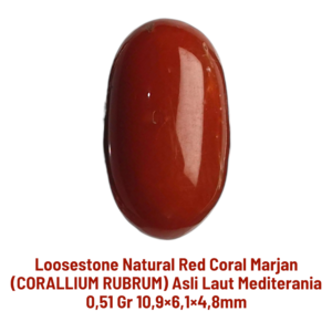 LOOSESTONE NATURAL RED CORAL MARJAN (CORALLIUM RUBRUM) 0,51 gr 10,9×6,1×4,8mm