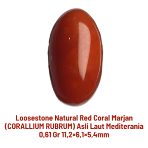 LOOSESTONE NATURAL RED CORAL MARJAN (CORALLIUM RUBRUM) 0,61 gr 11,2×6,1×5,4mm