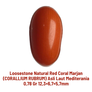 LOOSESTONE NATURAL RED CORAL MARJAN (CORALLIUM RUBRUM) 0,78 gr 12,3×6,7×5,7mm