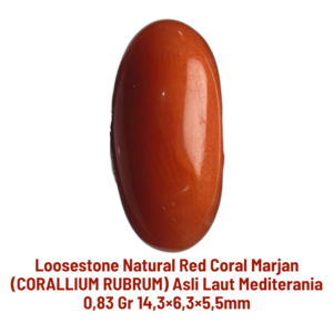 LOOSESTONE NATURAL RED CORAL MARJAN (CORALLIUM RUBRUM) 0,83 gr 14,3×6,3×5,5mm