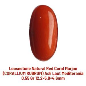 LOOSESTONE NATURAL RED CORAL MARJAN (CORALLIUM RUBRUM) 0,55 gr 12,2×5,8×4,6mm