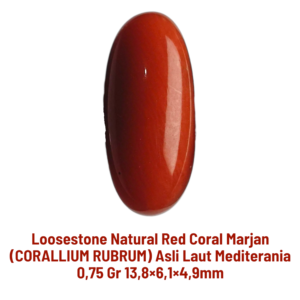 LOOSESTONE NATURAL RED CORAL MARJAN (CORALLIUM RUBRUM) 0,75 gr 13,8×6,1×4,9mm
