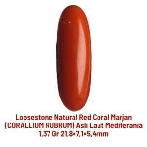 LOOSESTONE NATURAL RED CORAL MARJAN (CORALLIUM RUBRUM) 1,37 gr 21,8×7,1×5,4mm