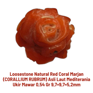 LOOSESTONE NATURAL RED CORAL MARJAN (CORALLIUM RUBRUM) UKIR MAWAR 0,54 gr 9,7×9,7×5,2mm