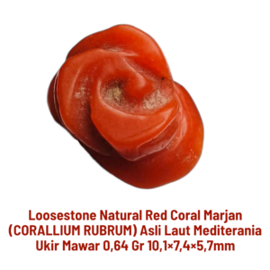 LOOSESTONE NATURAL RED CORAL MARJAN (CORALLIUM RUBRUM) UKIR MAWAR 0,64 gr 10,1×7,4×5,7mm