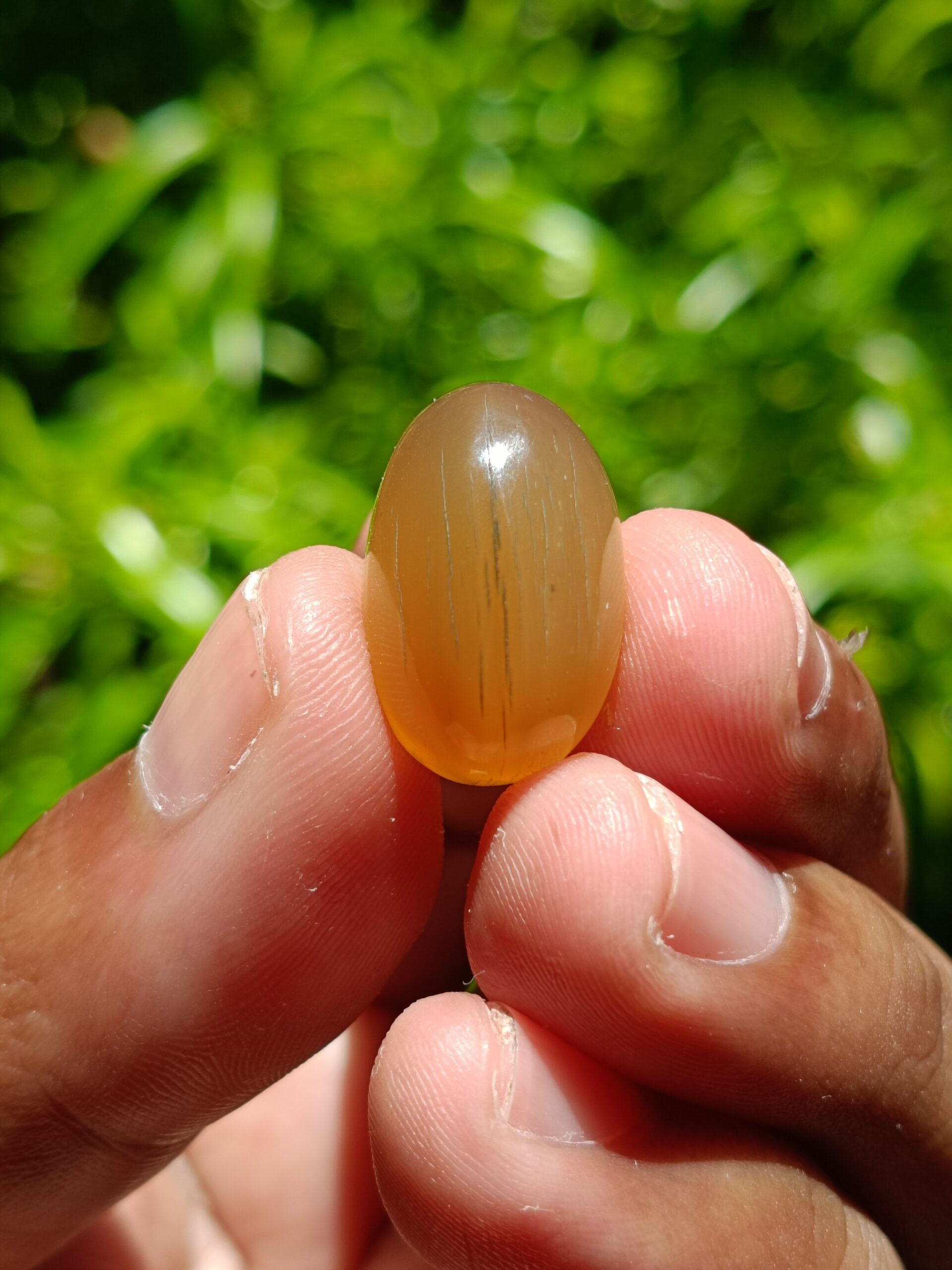 VINTAGE RHINO HORN LOOSESTONE 1,80 Gr 19,5×12,5×9,5mm - Gambar 6