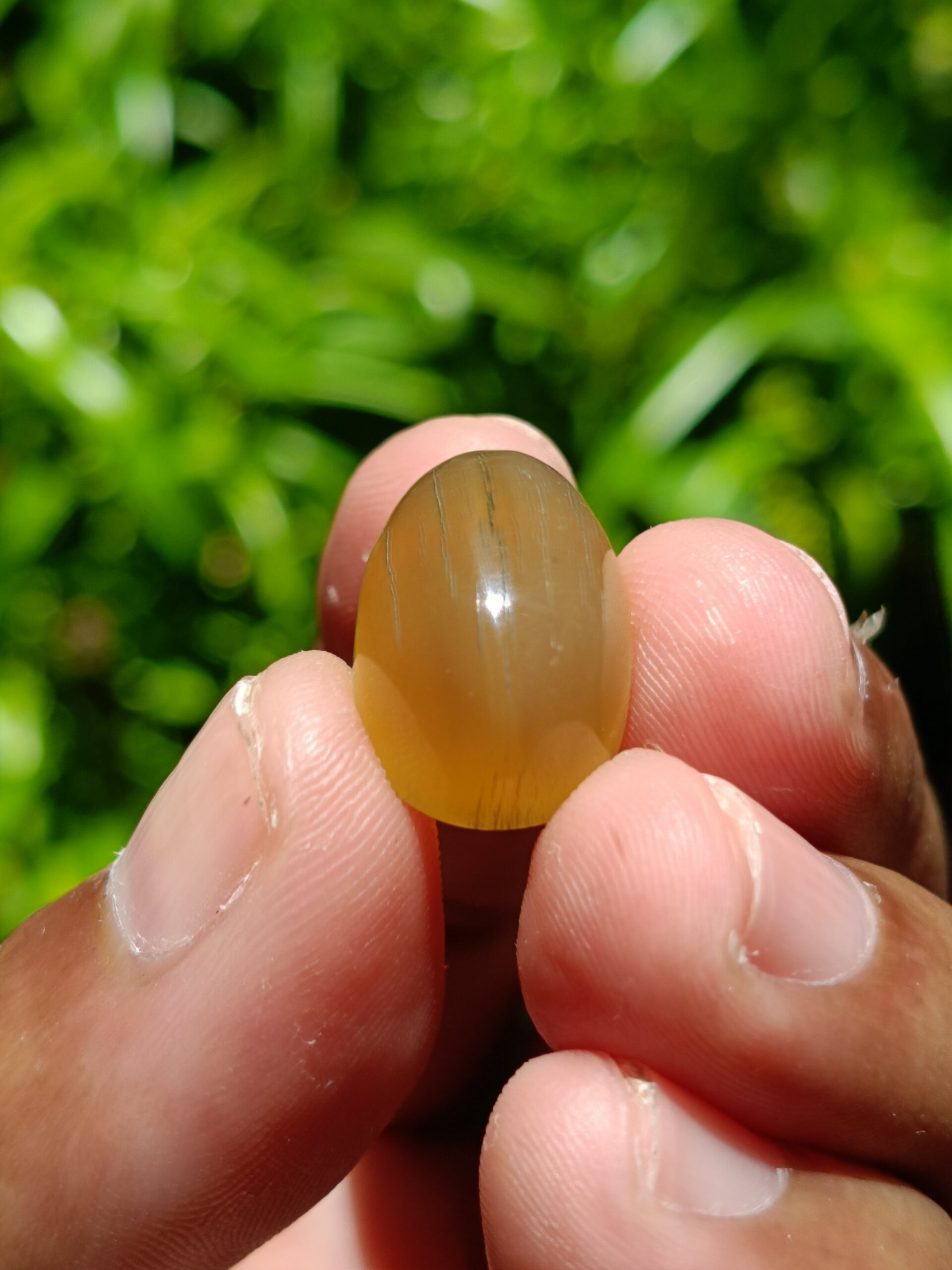 VINTAGE RHINO HORN LOOSESTONE 1,80 Gr 19,5×12,5×9,5mm - Gambar 11